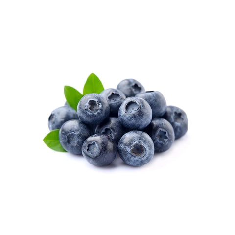 Premium Blueberry from Peru