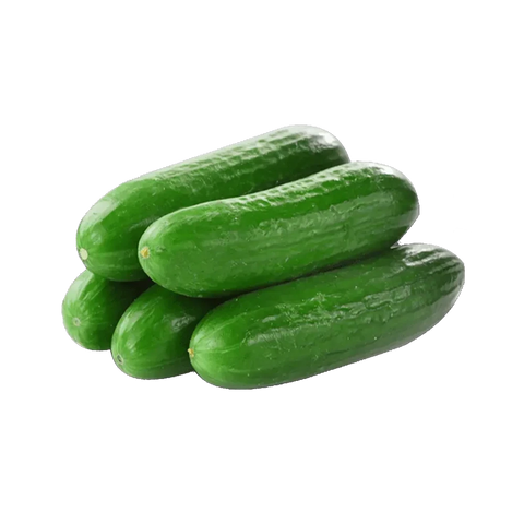 Seedless Cucumber (Hydroponically Grown)