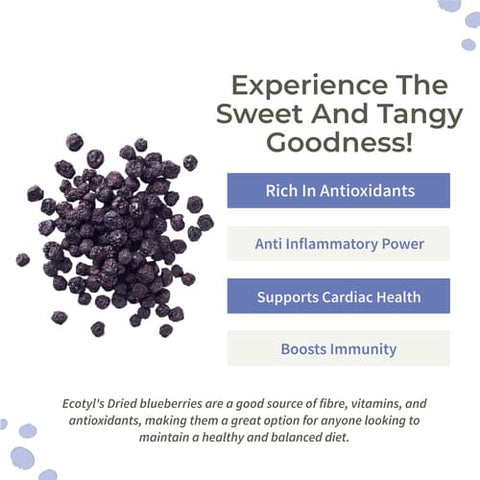 Ecotyl Dried Blueberries | Whole Dried Fruit |