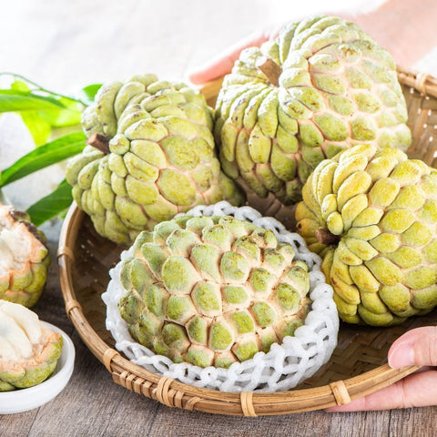 Custard Apple/Sharifa 2Pc