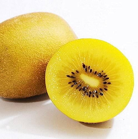 Sungold Kiwi