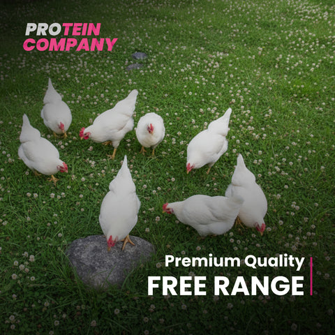 Free Range Eggs  (Pack of 2)
