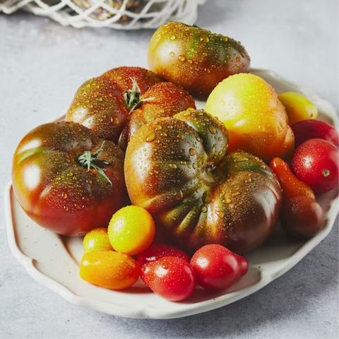 Heirloom Tomato from Netherlands