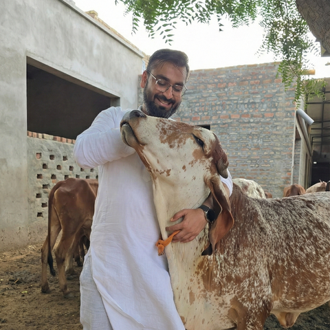 Ekaris A2 GIR Cow Ghee - 500ml