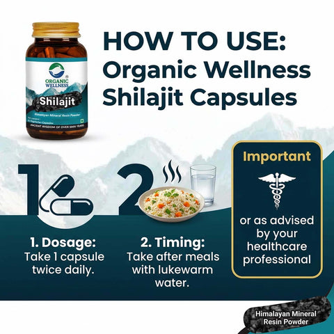 Shilajit Capsules