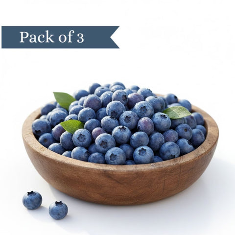 Premium Blueberry from Peru (Pack of 3)