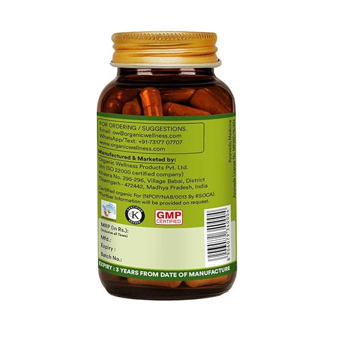 Organic Wellness Amla C+ 90 Capsules