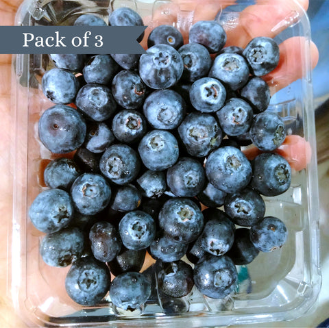 Himalayan Blueberry 125 grams (Pack of 3)