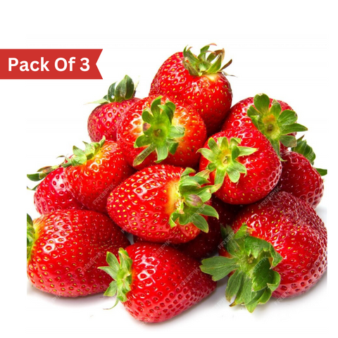 Strawberry from Bijnor (Pack of 3)