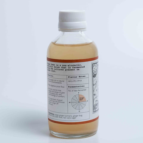 Ginger Beer Spicy