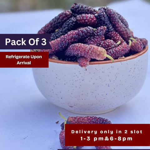 Mulberry Red (shahtoot) (Pack of 3)