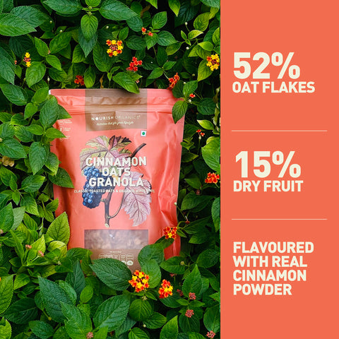 Nourish Organics Cinnamon Oats Granola 270grams