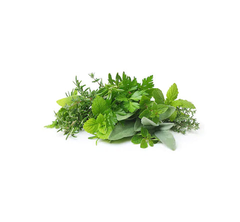 Herb Mix (Hydroponically Grown)