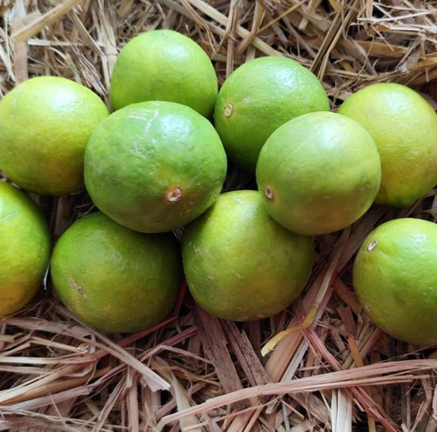 Lemon / Nimbu (Certified Organic)