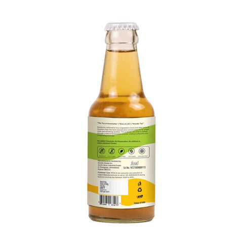 Grabenord Lemongrass Ginger Kombucha (200ml)