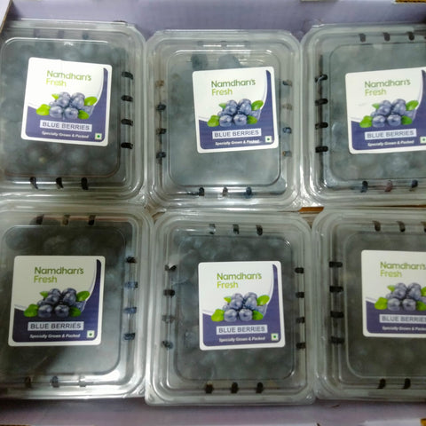 Imported Blueberry (Pack of 3)