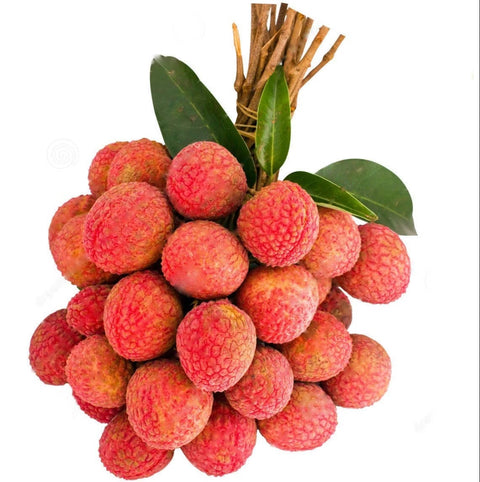 Premium Litchi 400 gm