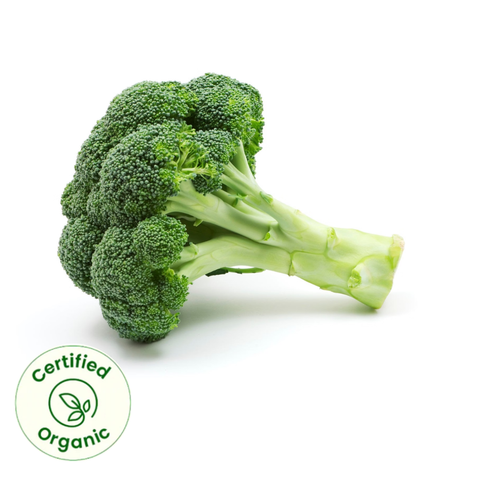 Broccoli (Certified Organic)