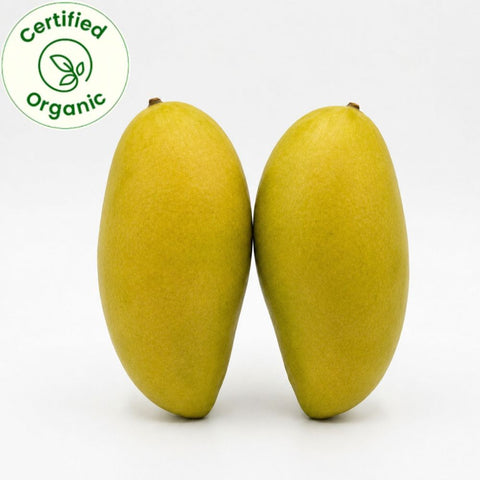 Mallika Mango Certified Organic 6 pc