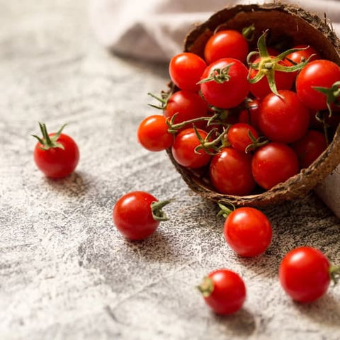 Hydroponic Red Cherry Tomatoes