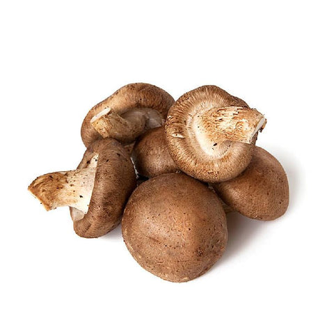 Shiitake From Thailand