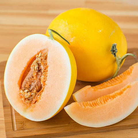 Sun Melon From Tamil Nadu