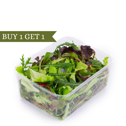 Salad Mix (Hydroponically Grown) (B1G1)