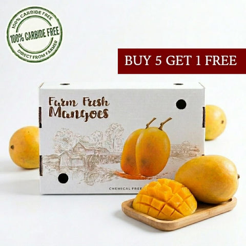 Premium Alphonso Mango box 12 Pc | Buy5 Get1 Free (Carbide Free) 200-240gm per Pc