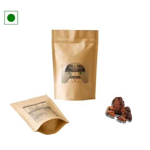 Chaga Extract Powder