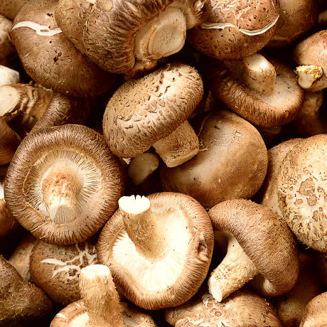 Shiitake From Thailand
