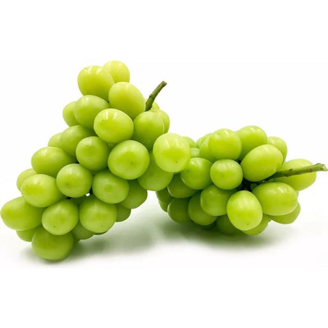 Muscat Grapes From China