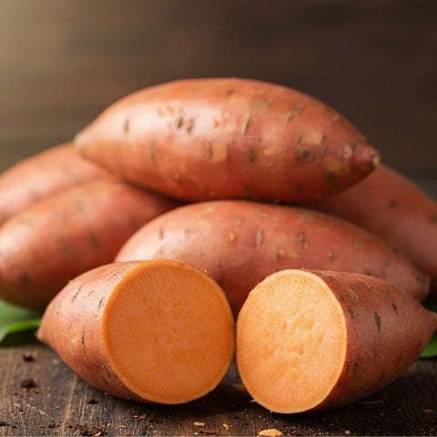 Orange Sweet Potato from USA