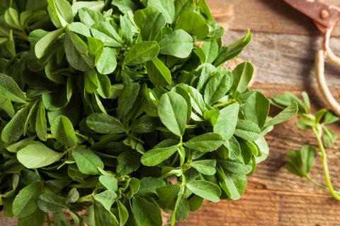Fenugreek leaves  (Naturally Grown)