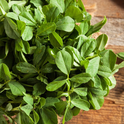 Fenugreek leaves  (Naturally Grown)