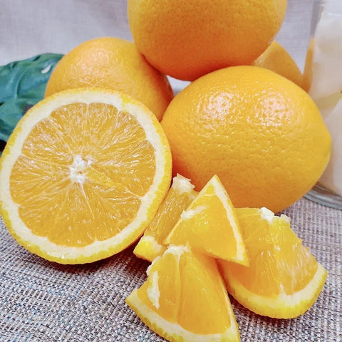 8f12c2f8-675b-4aaf-9e6f-4024d4e78c21.jpeg