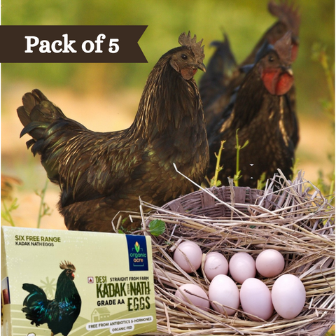 Organic Acre Kadaknath Eggs (Pack of 5) 30 Pcs