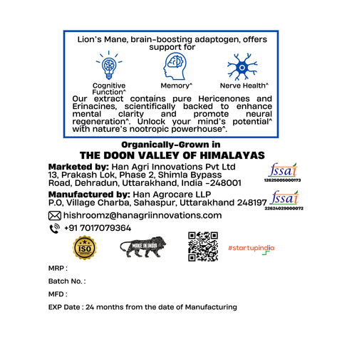 Lion’s Mane Drops