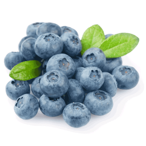 Premium Blueberry from Peru