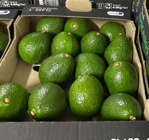 Hass Avocado Imported