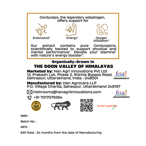 Cordyceps Extract Powder