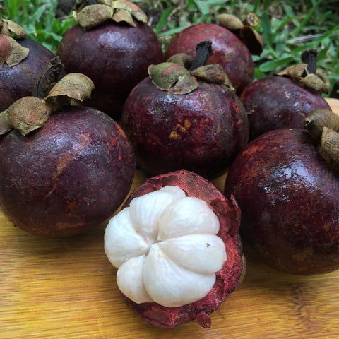 Mangosteens from Thailand