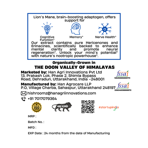 Lion’s Mane Capsules