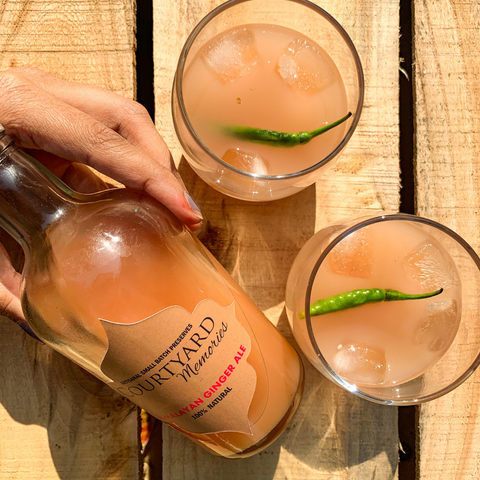 Himalayan Ginger Ale (Unsweetened)