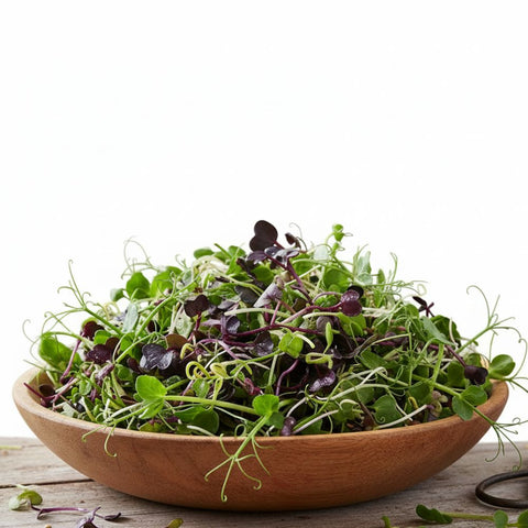 Microgreen Mix