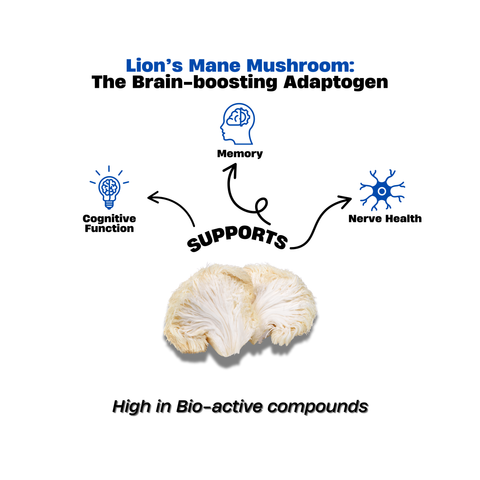 Lion’s Mane Capsules