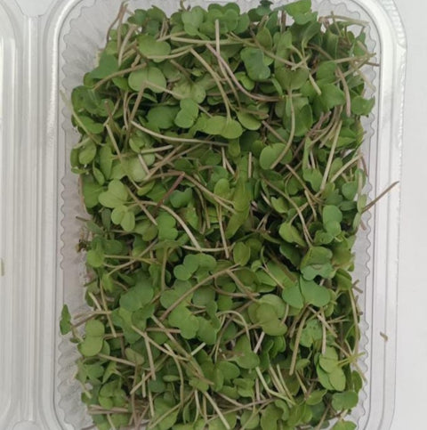 Assorted Microgreens Mix (Hydroponically Grown)