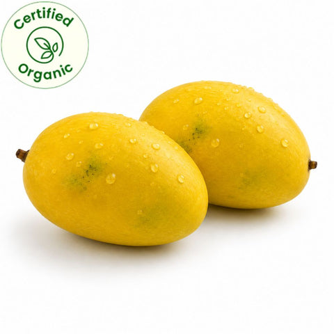 Chowsa Mango (Certified Organic) 6 Pc Box