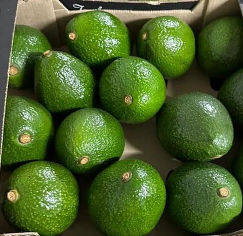 Hass Avocado Imported