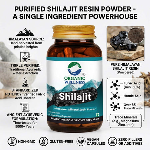 Organic Wellness Shilajit 60 Capsules