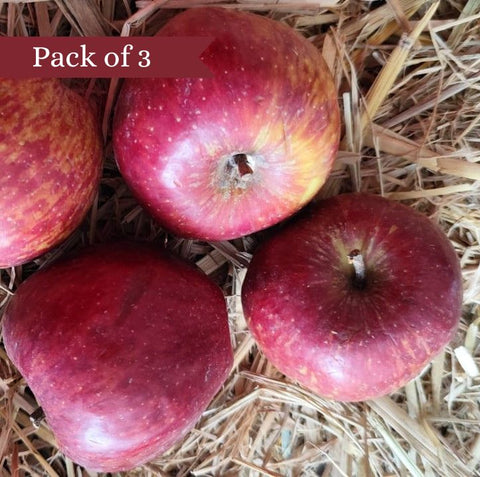 Apple Kinnaur (Certified Organic) Pack of 3